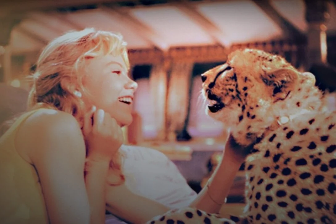 Review: The Moon-Spinners (DMC #39)