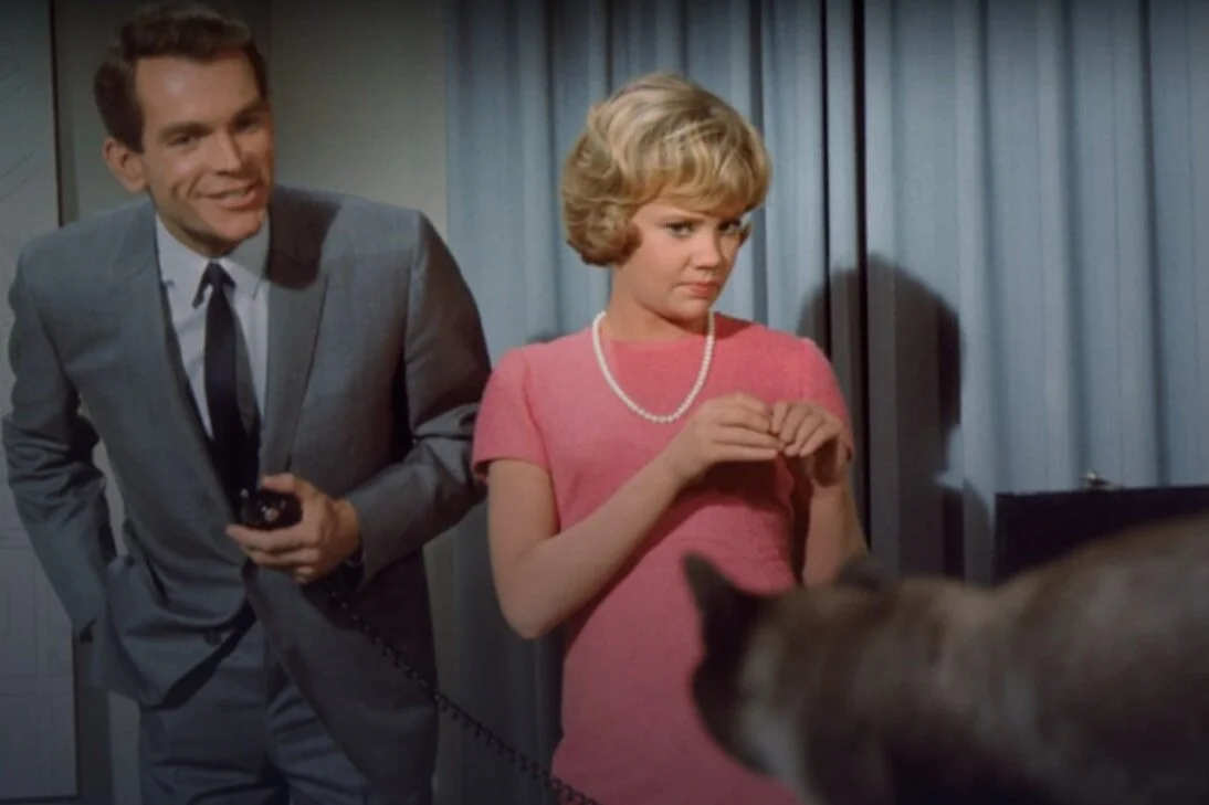 Review: That Darn Cat (1965) (DMC #42)