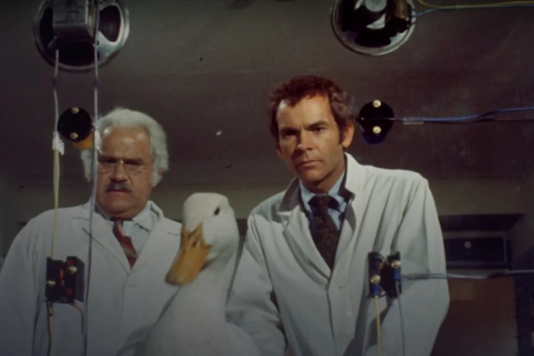 Review: Million Dollar Duck (1971) (DMC #48)