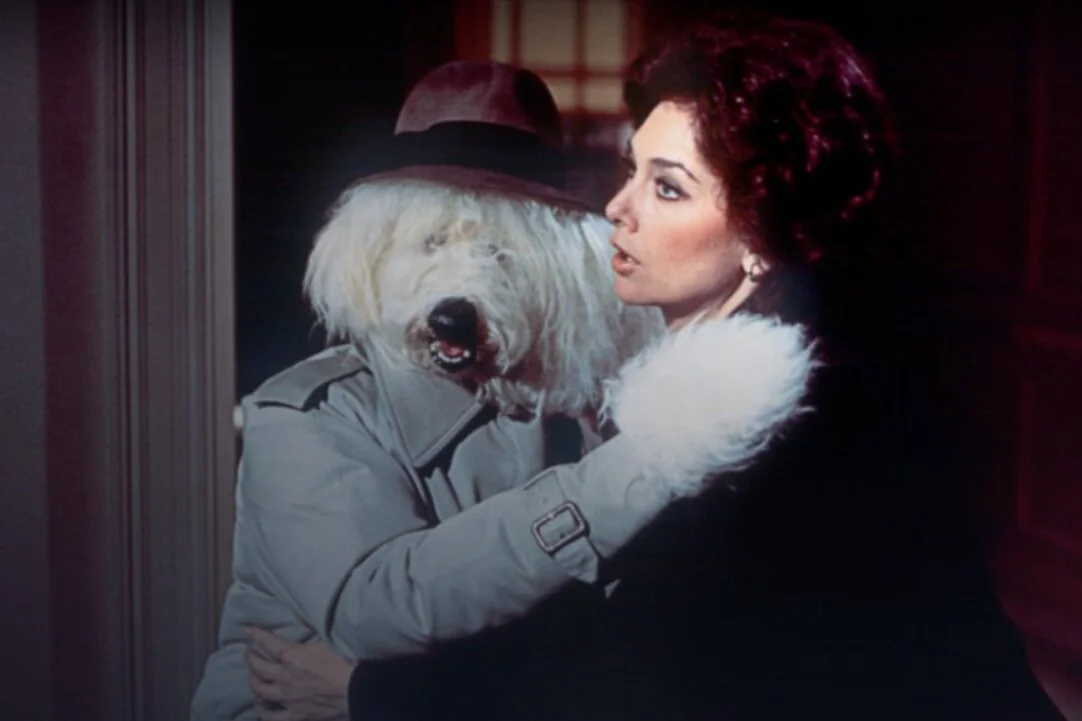 Review: The Shaggy D.A. (DMC #60)