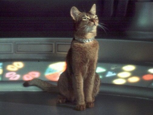 The Cat from Outer Space (DMC #68)