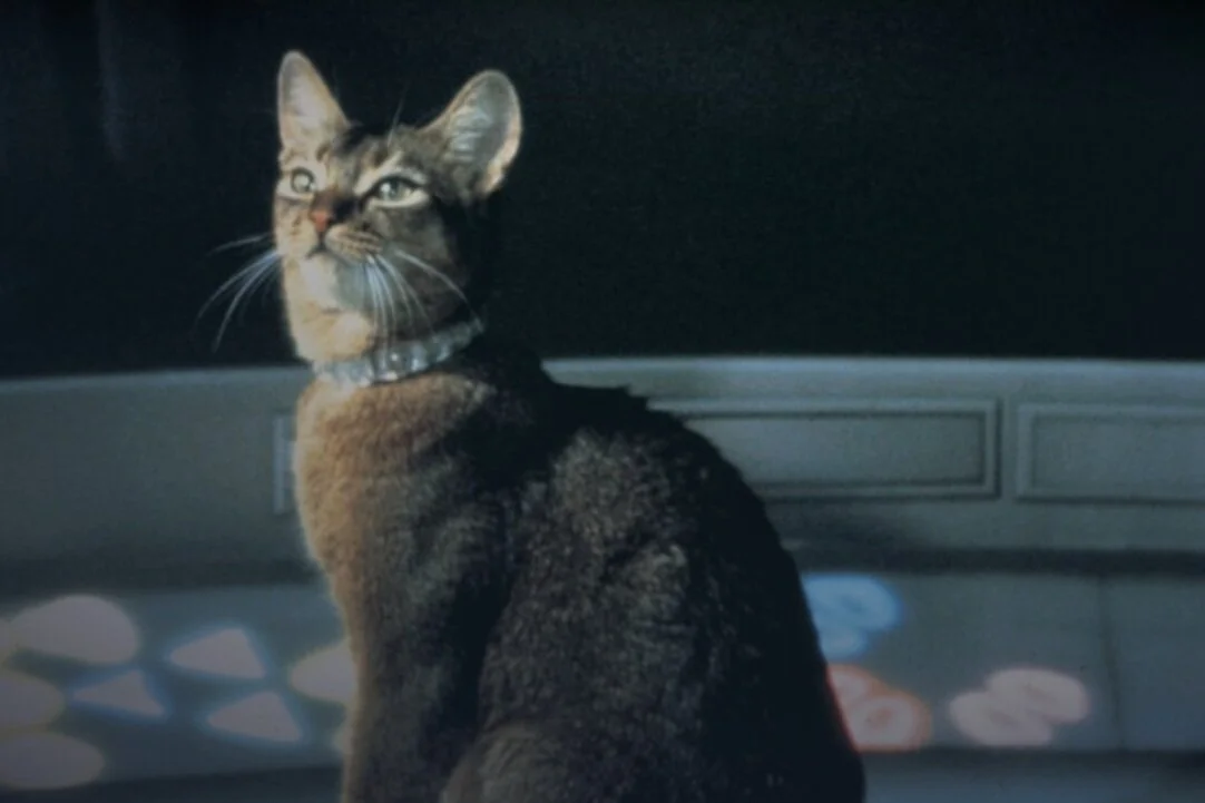 Review: The Cat from Outer Space (DMC #68)