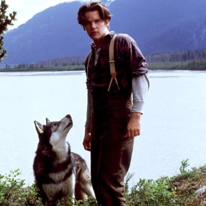 Is White Fang On Disney Plus At Matilda Mullan Blog