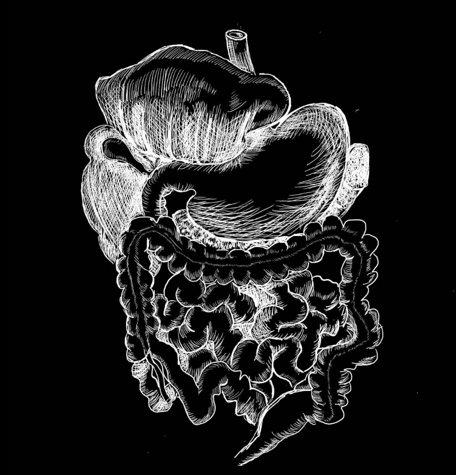 The ~Digestive~ Movement