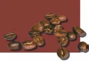 A Thirst for Aesthetics