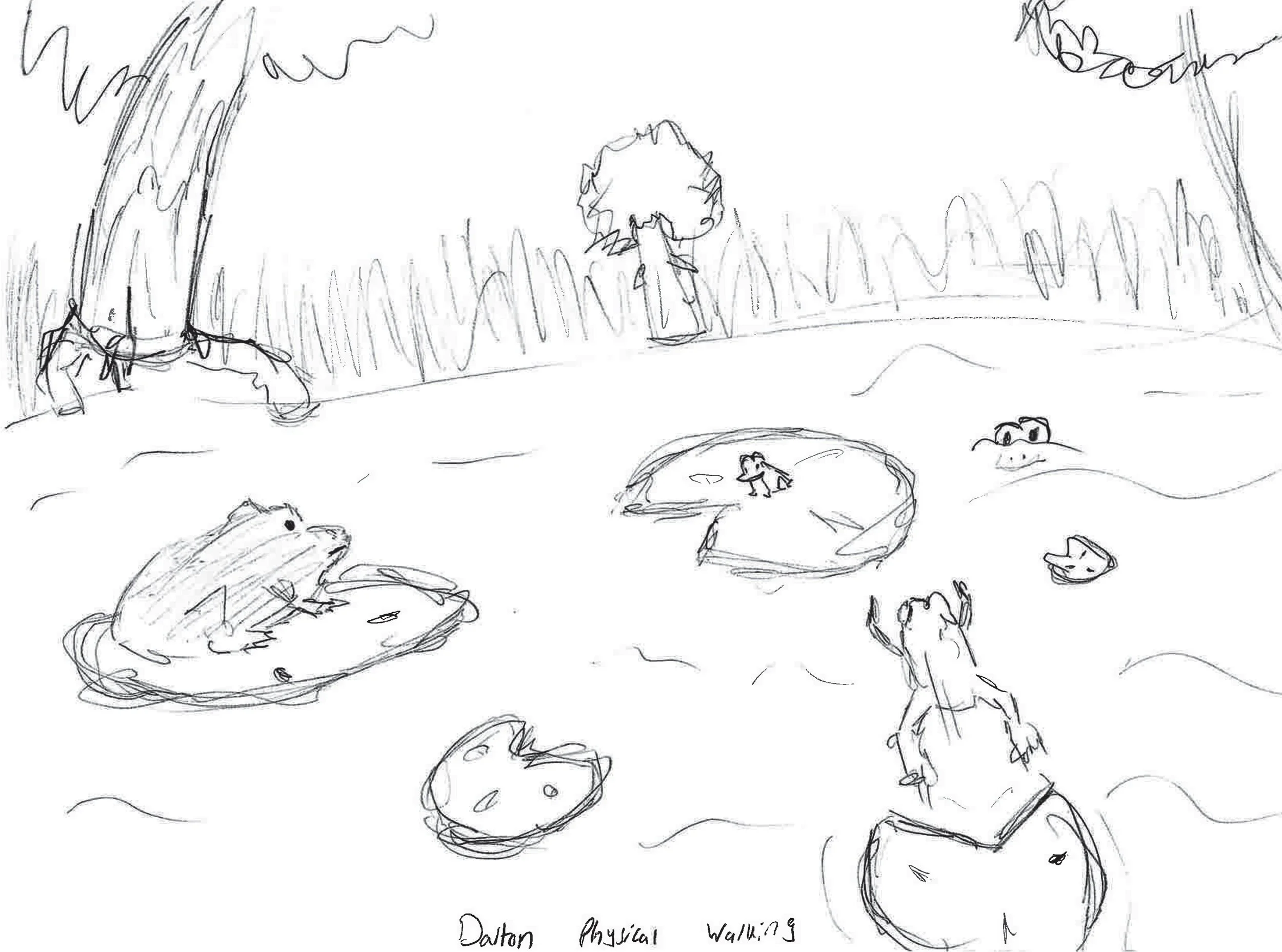 Illustrating the Self