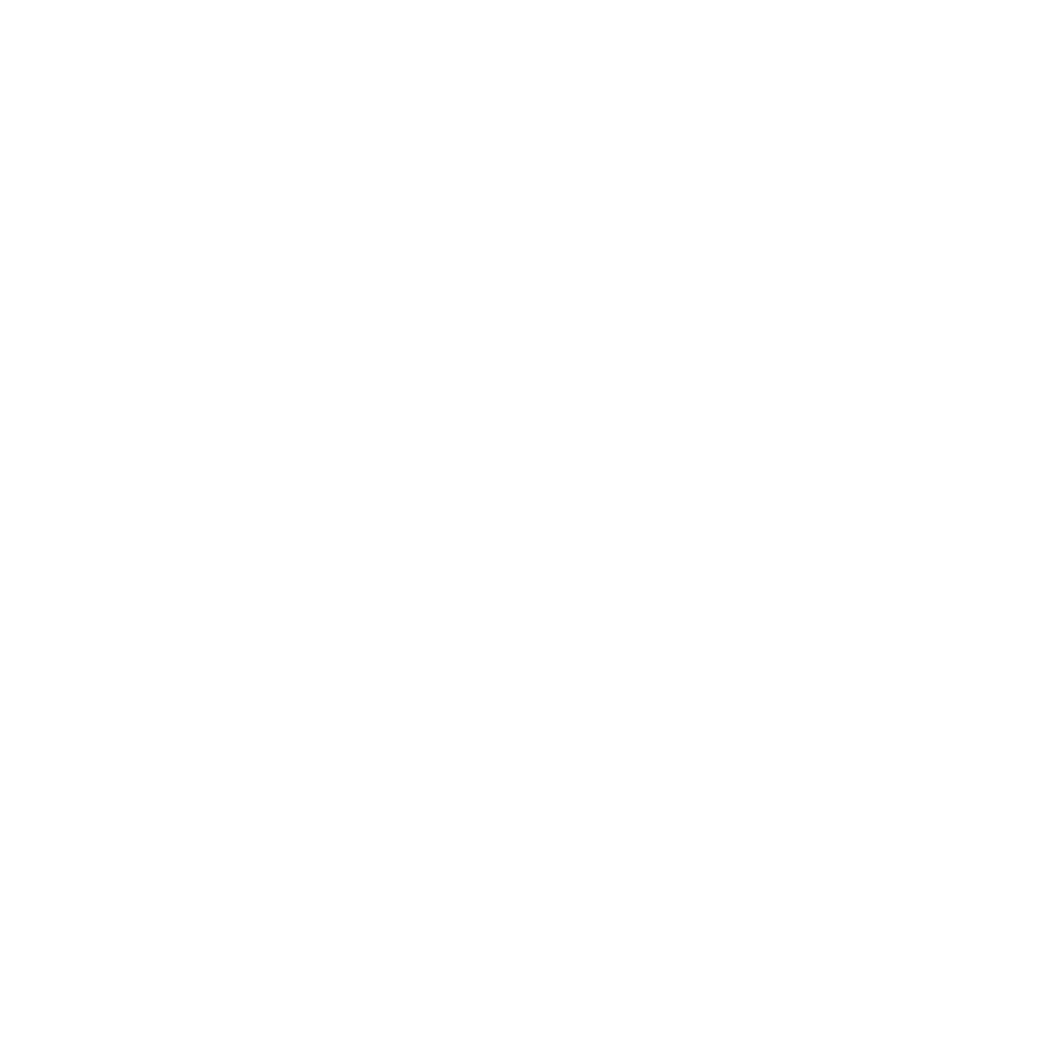 White logo with the words "The Home Co™" inside an arched outline, perfect for this home staging brand and interior design company.