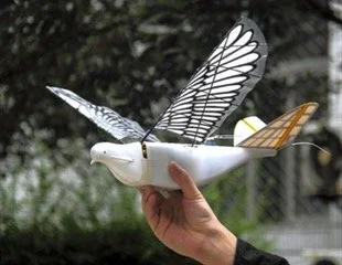 China’s Bird-Like Drone That Blends Into the Sky
