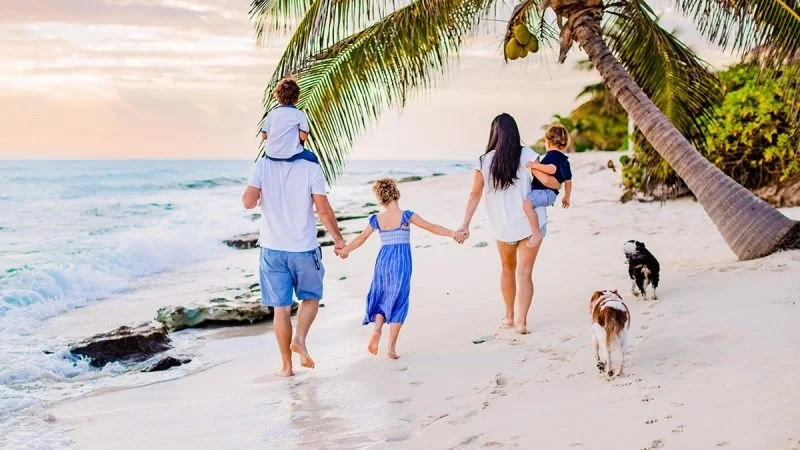 From Concrete Jungle to Coconut Grove: Why I Moved to the Caribbean