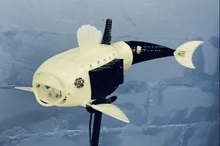 The Robot Fish That Eats Plastic  and Powers Itself by Digesting It