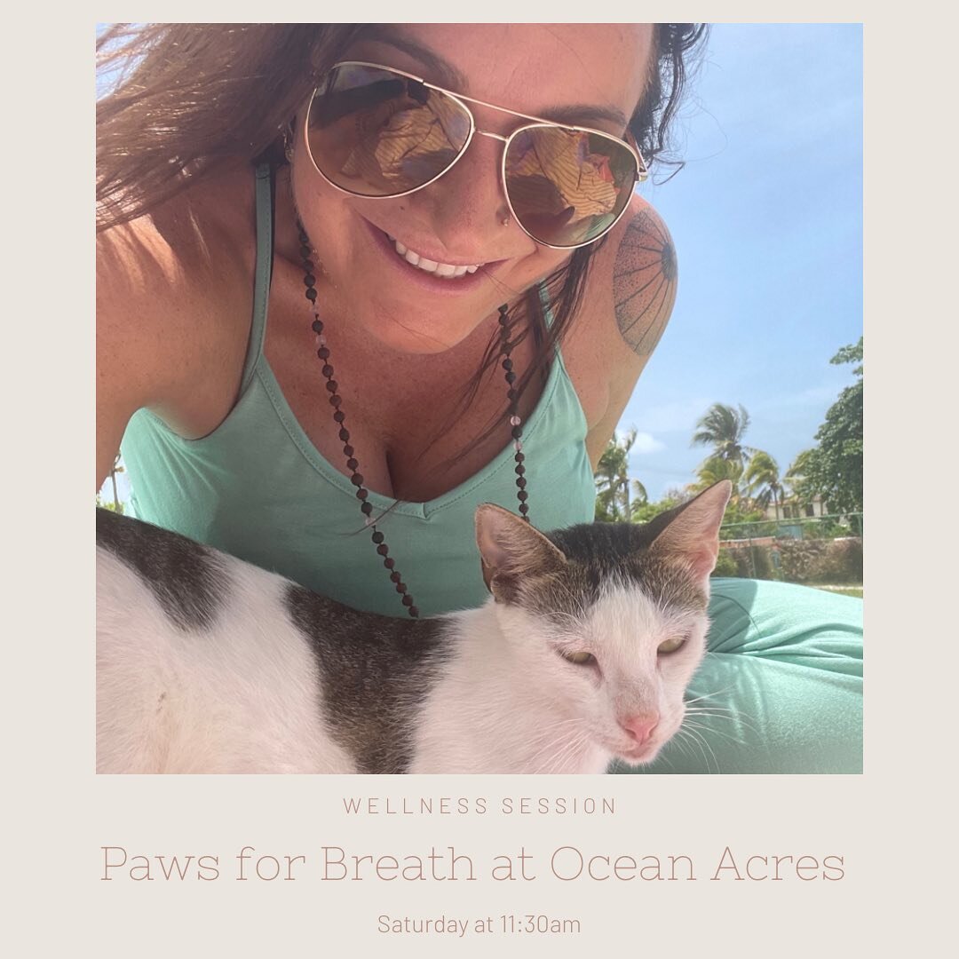 9 months ago I lead my last @pawsforbreath_oceanacres session @oceanacresanimals sanctuary, and gave birth to Aether less than 24 hours later&hellip; this Saturday I&rsquo;ll be back guiding gentle mindful movement and meditation, supported by the hi