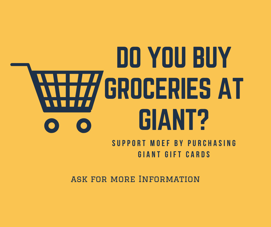Copy of Do you buy groceries at giant_.png