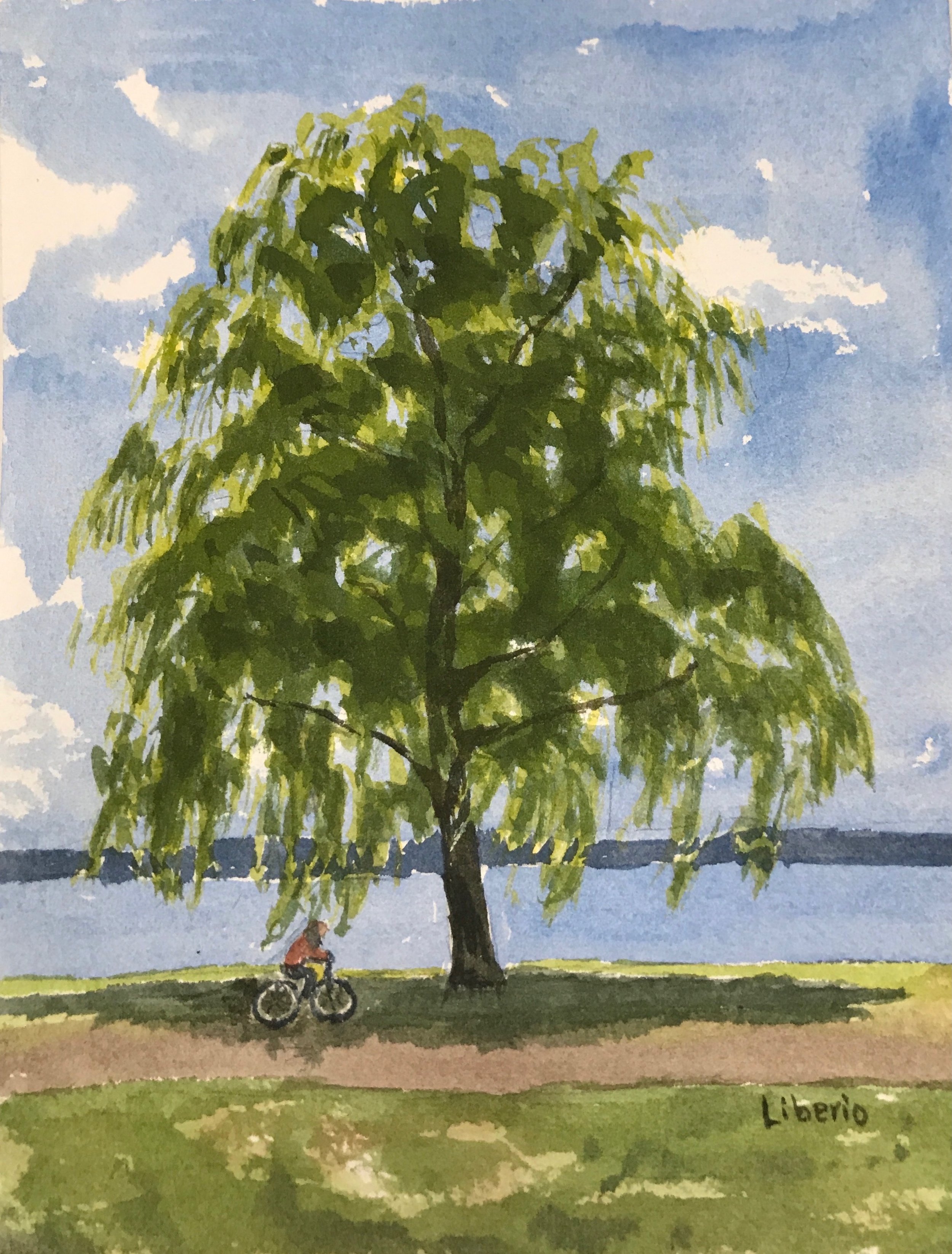 July & August Drawing & Painting Trees in Watercolor, Tuesdays with Elaine Liberio