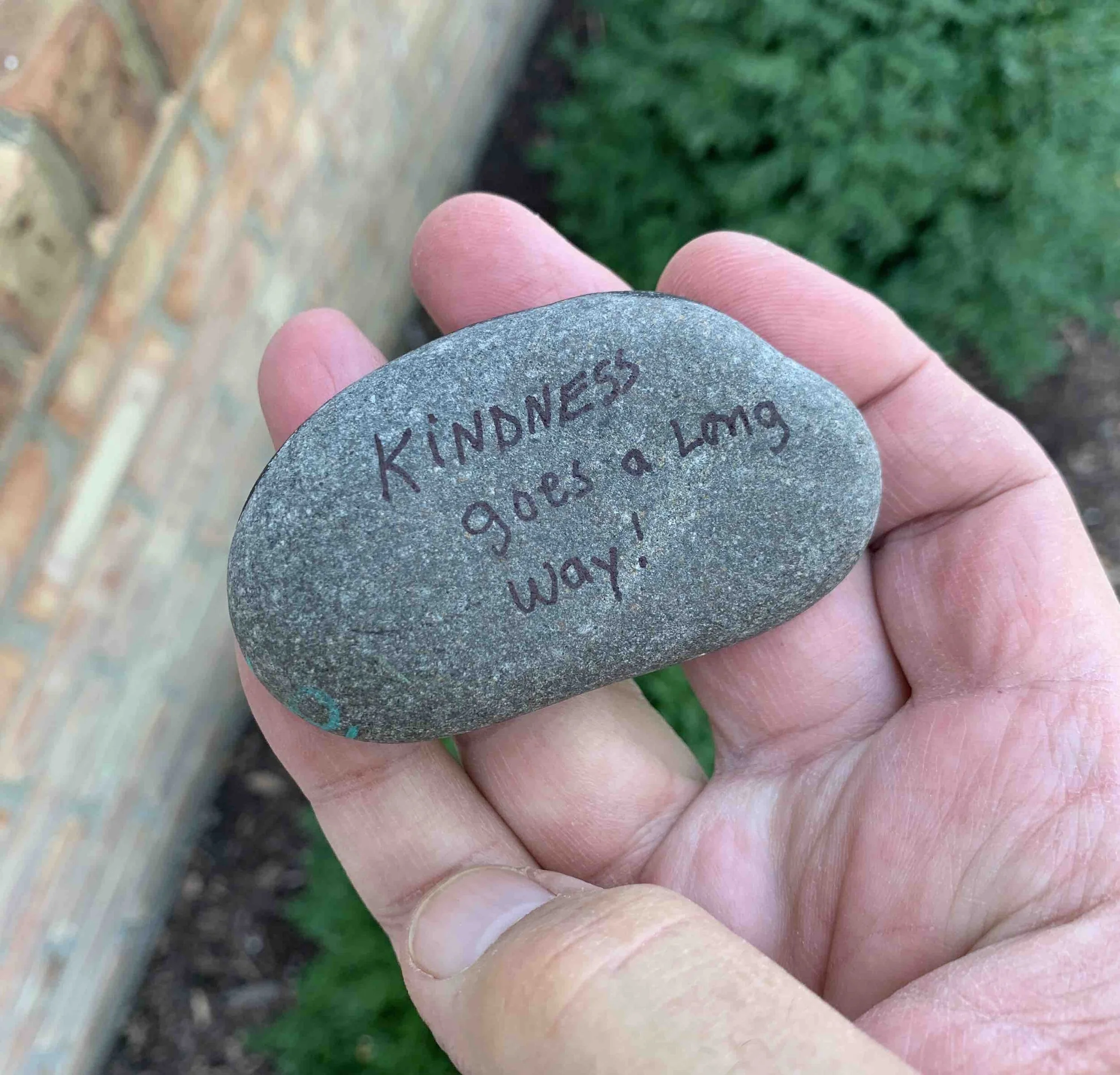 Stone-Back.jpg