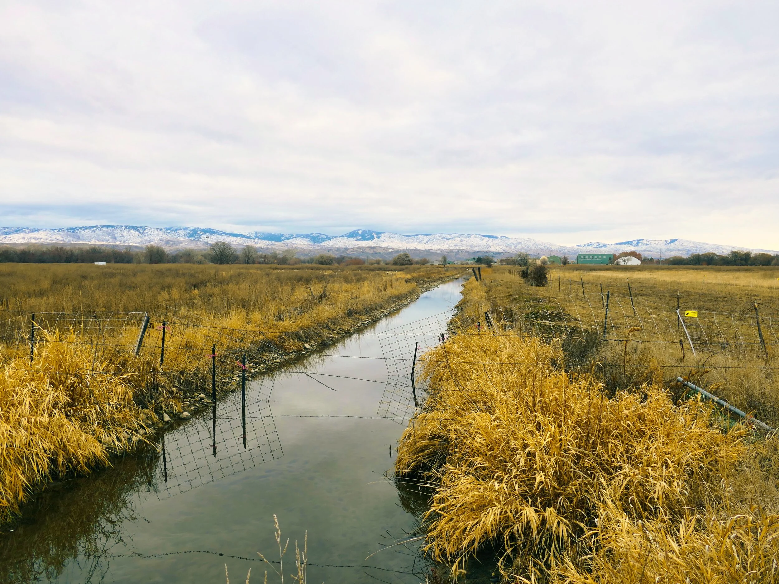 Photo by Henry Fraczek on Unsplash