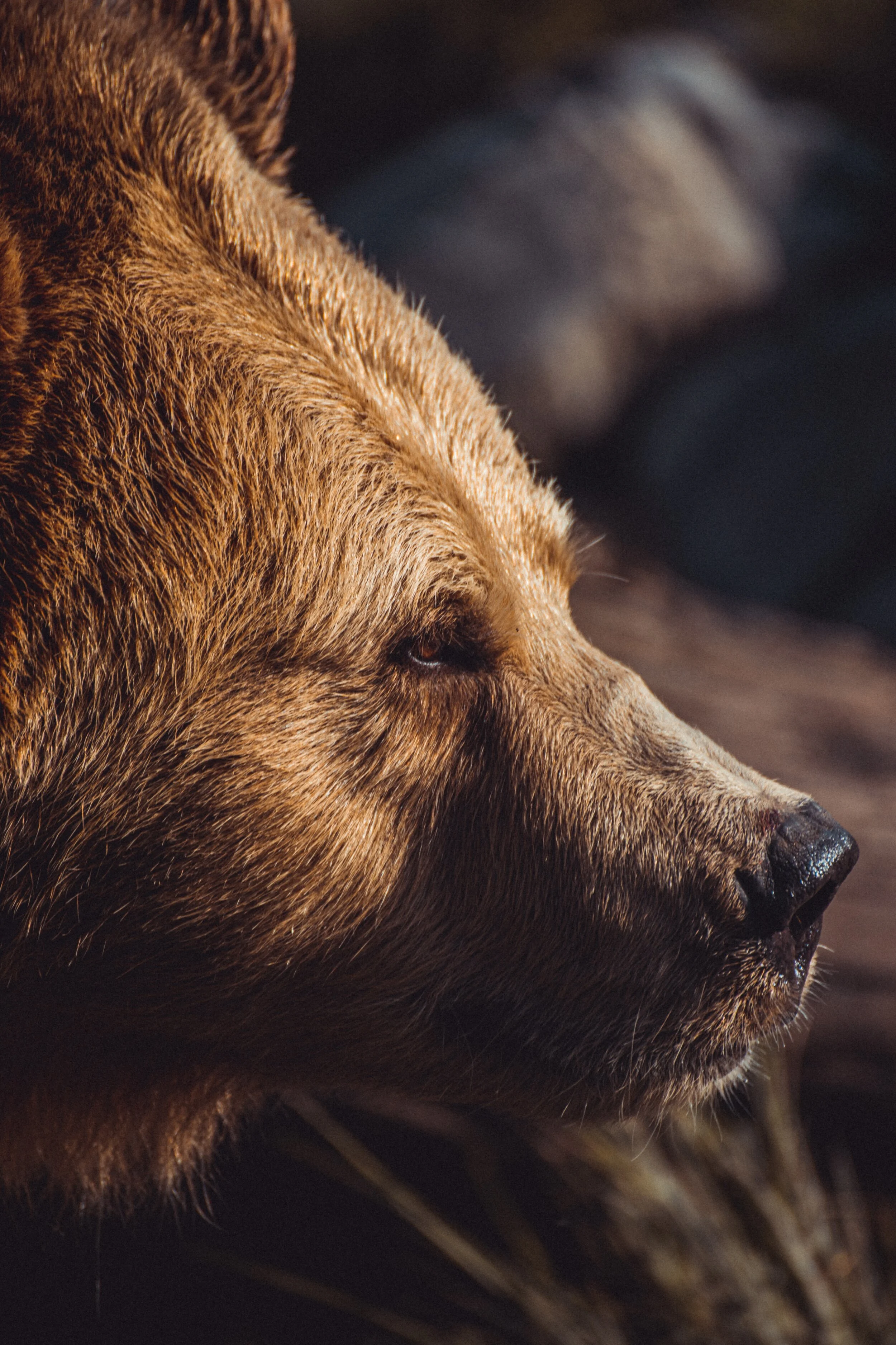 Photo by Thomas Bonometti on Unsplash