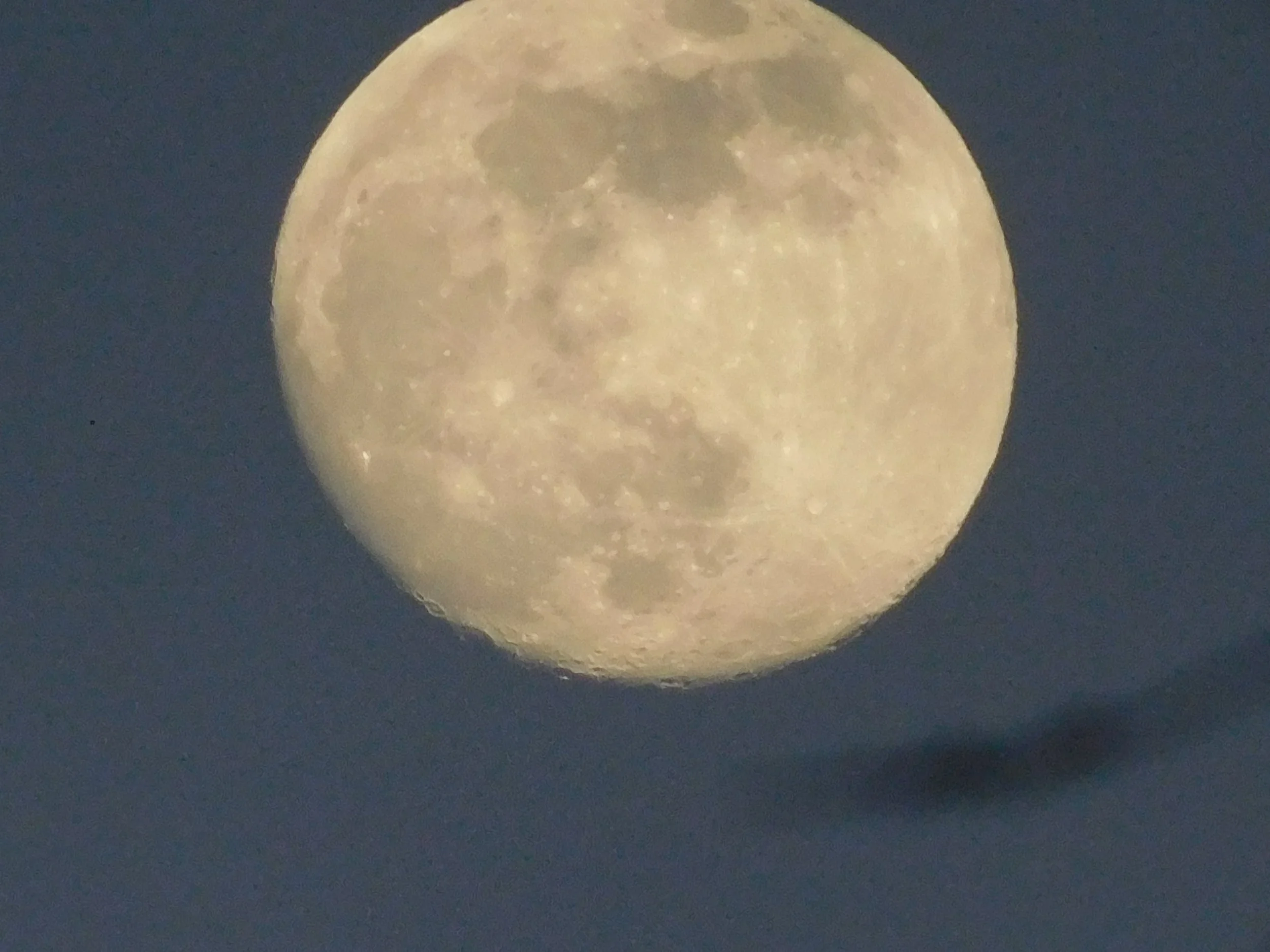 DSCN7313.JPG