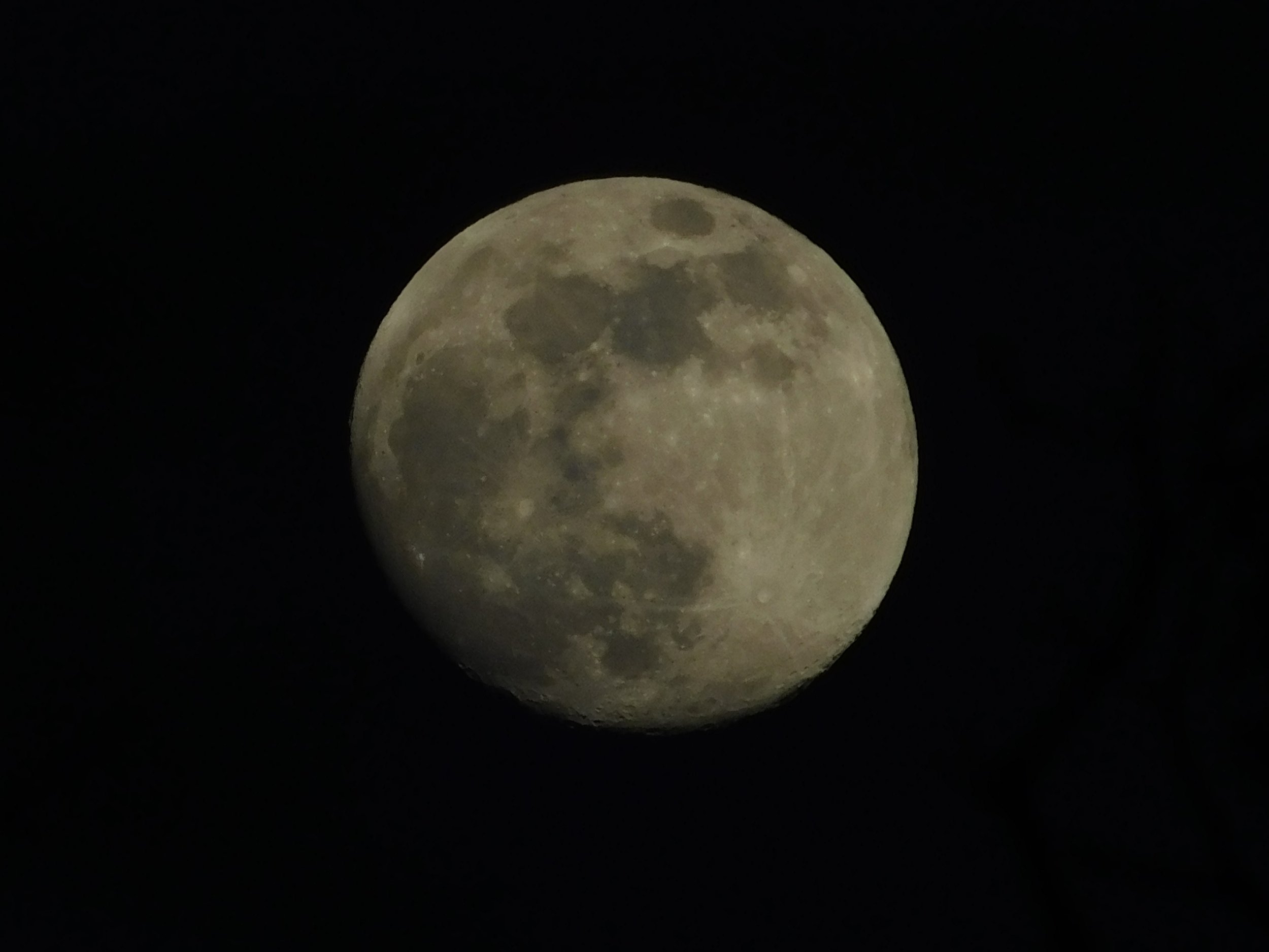 DSCN7320.JPG