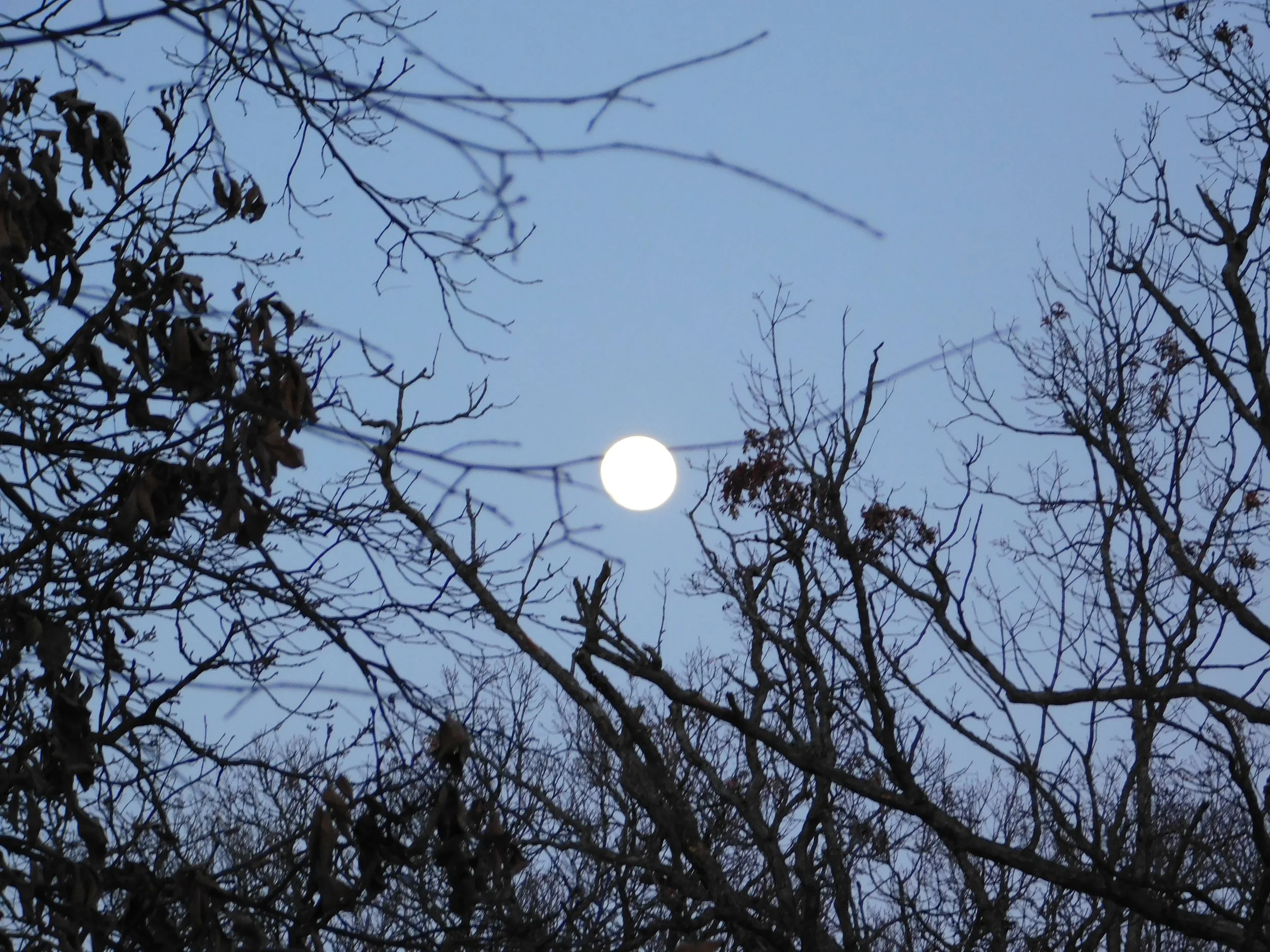 DSCN7318.JPG