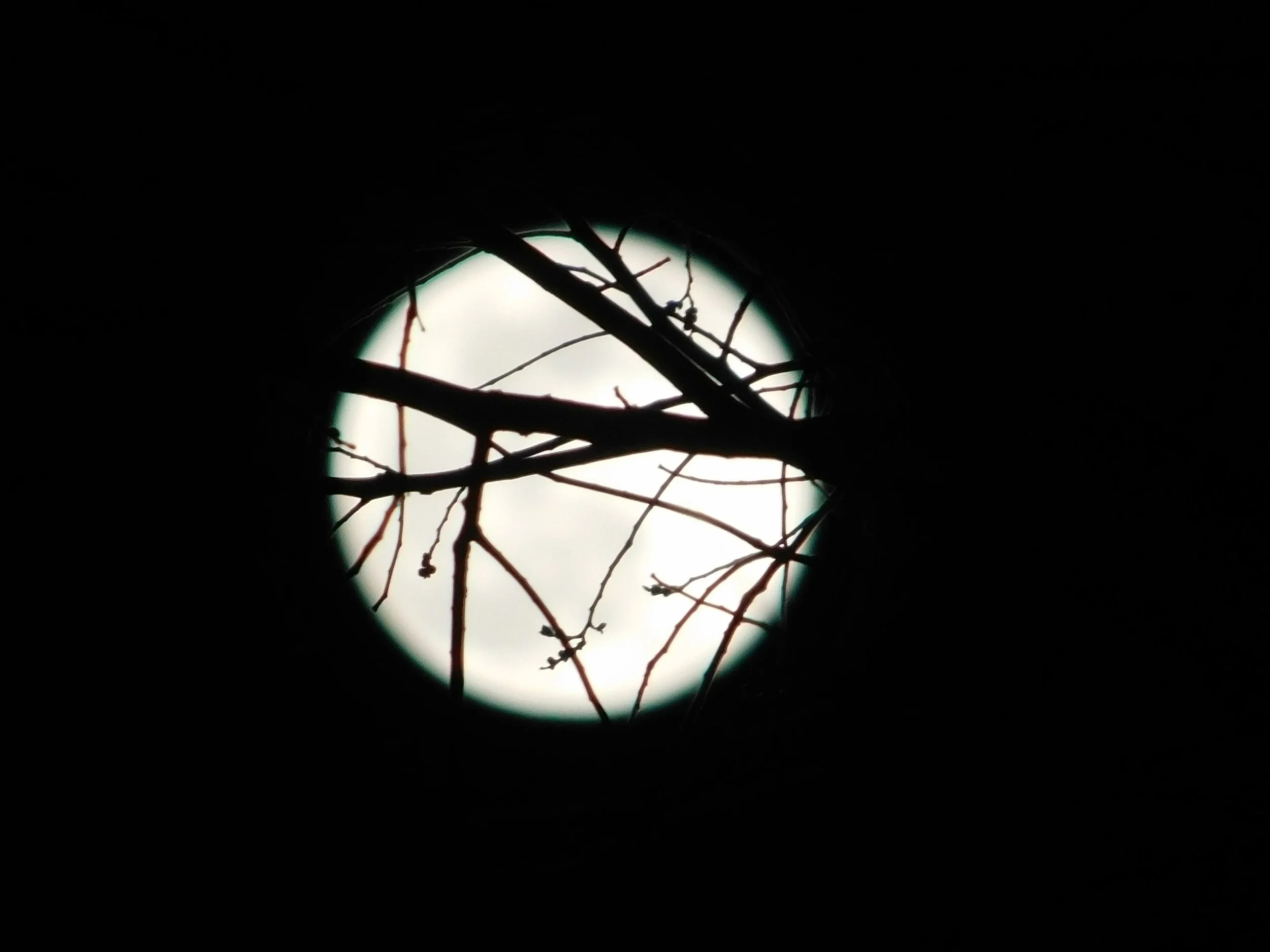 DSCN7386.JPG