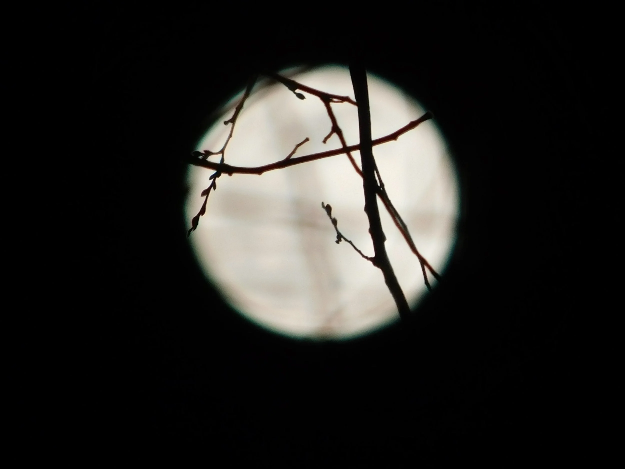 DSCN7395.JPG