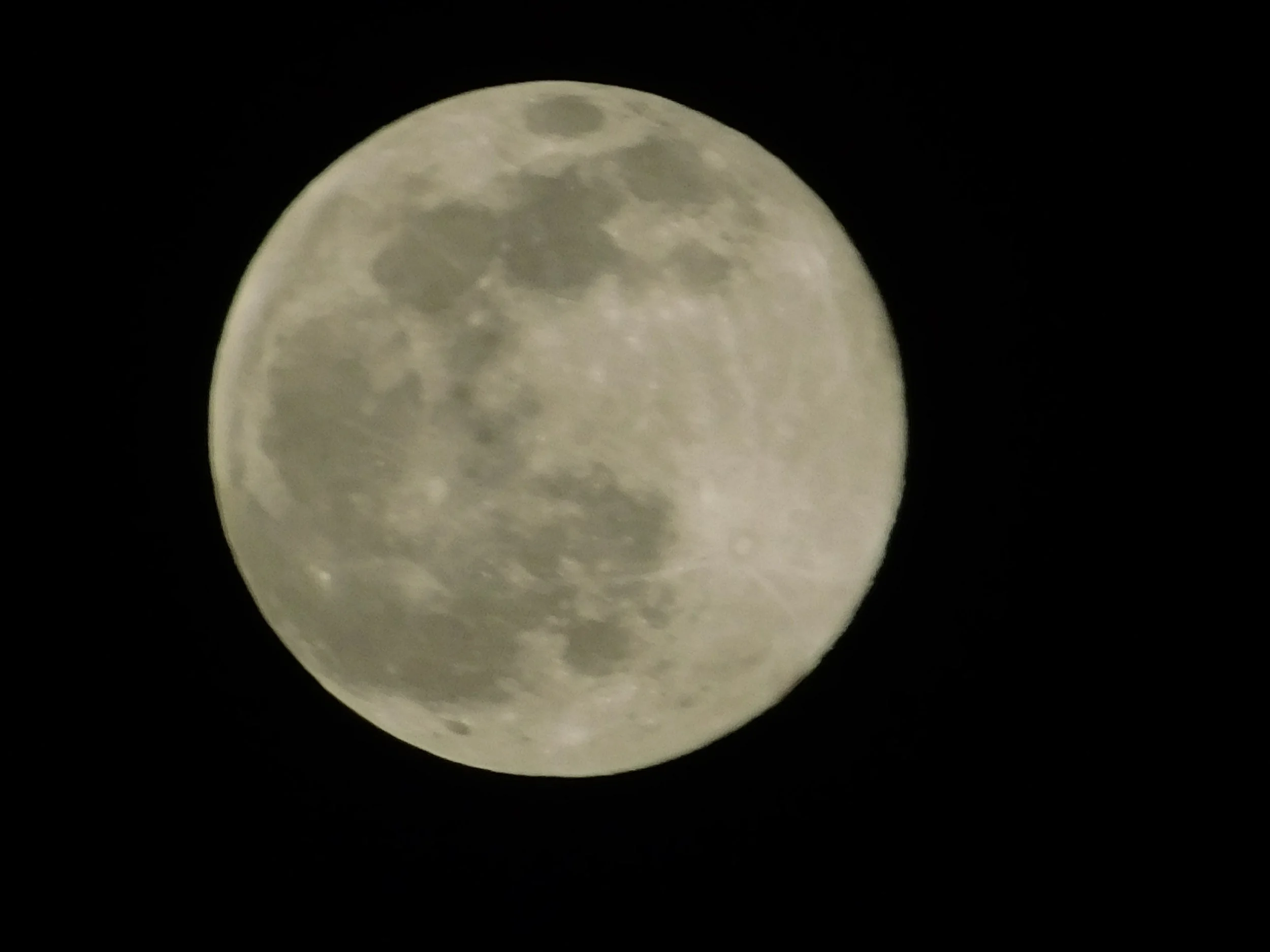 DSCN7408.JPG