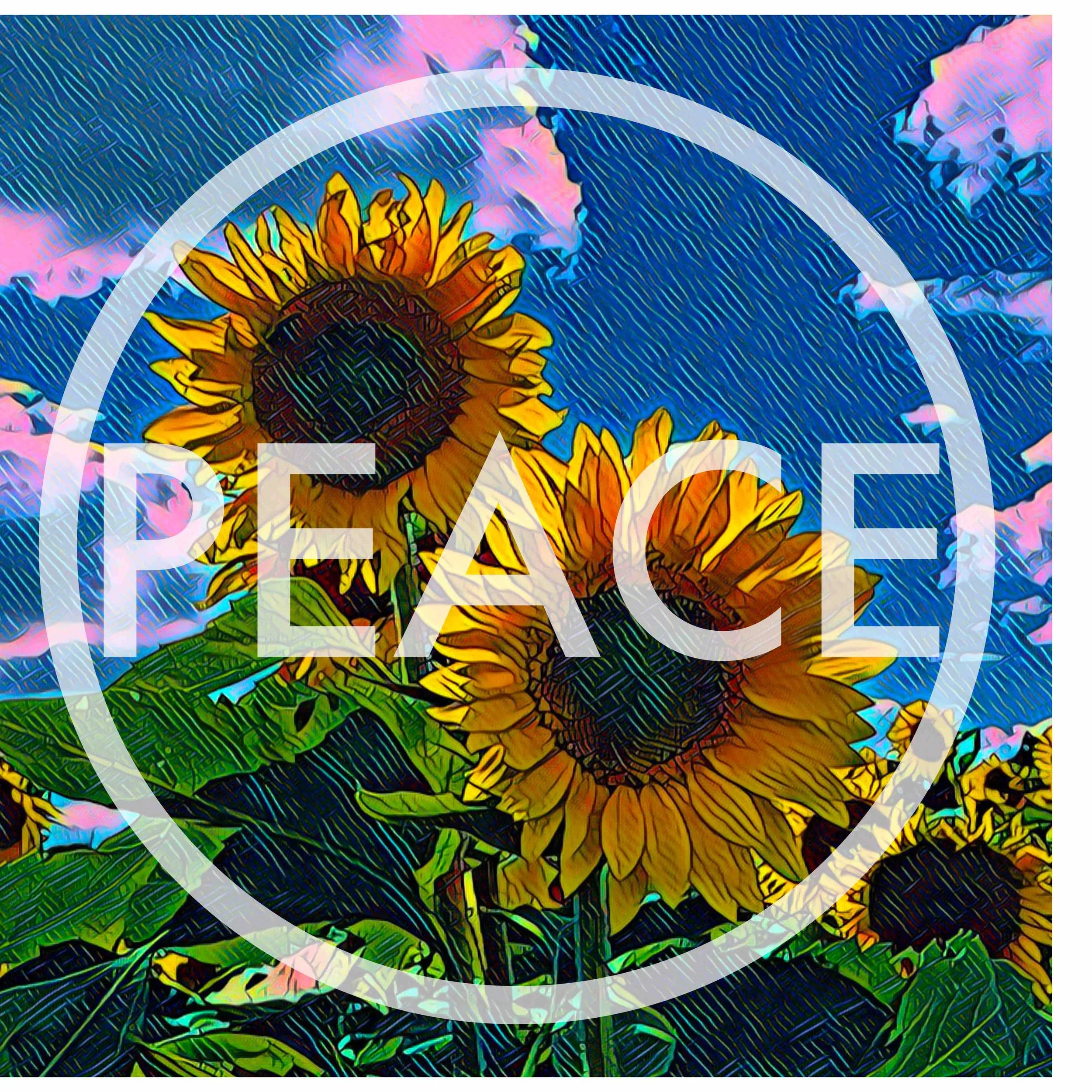 Sunflower peace white circle.jpg