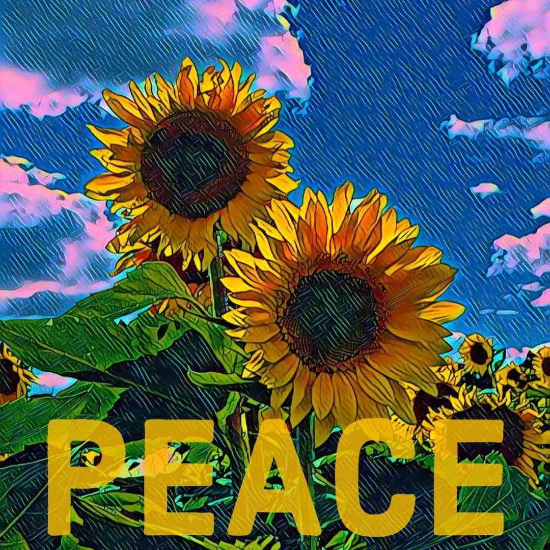 Sunflower Peace 1.jpg