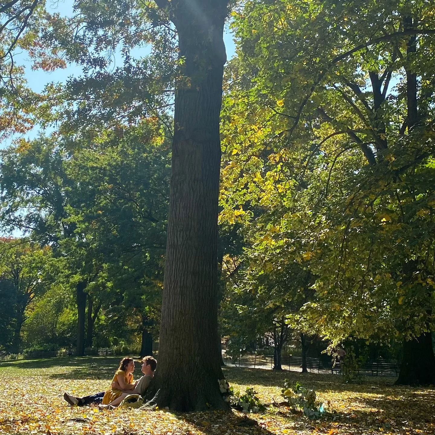 A stranger in the park took this picture of us 🎃