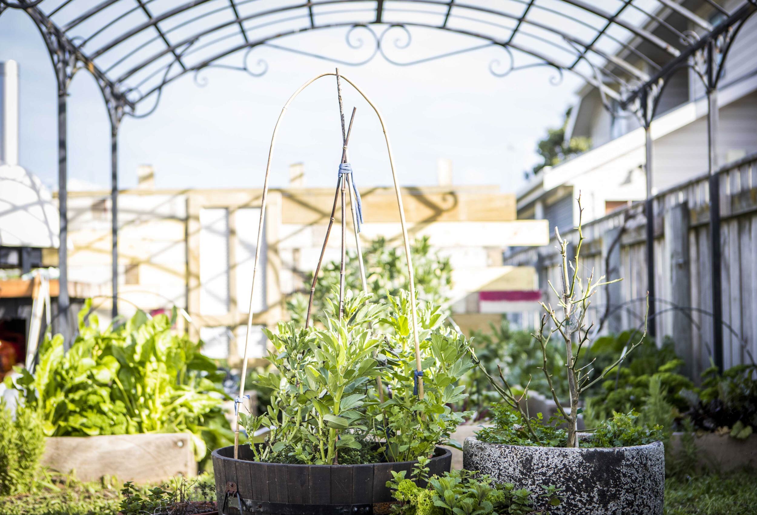 oikos-vegetable-garden.jpg