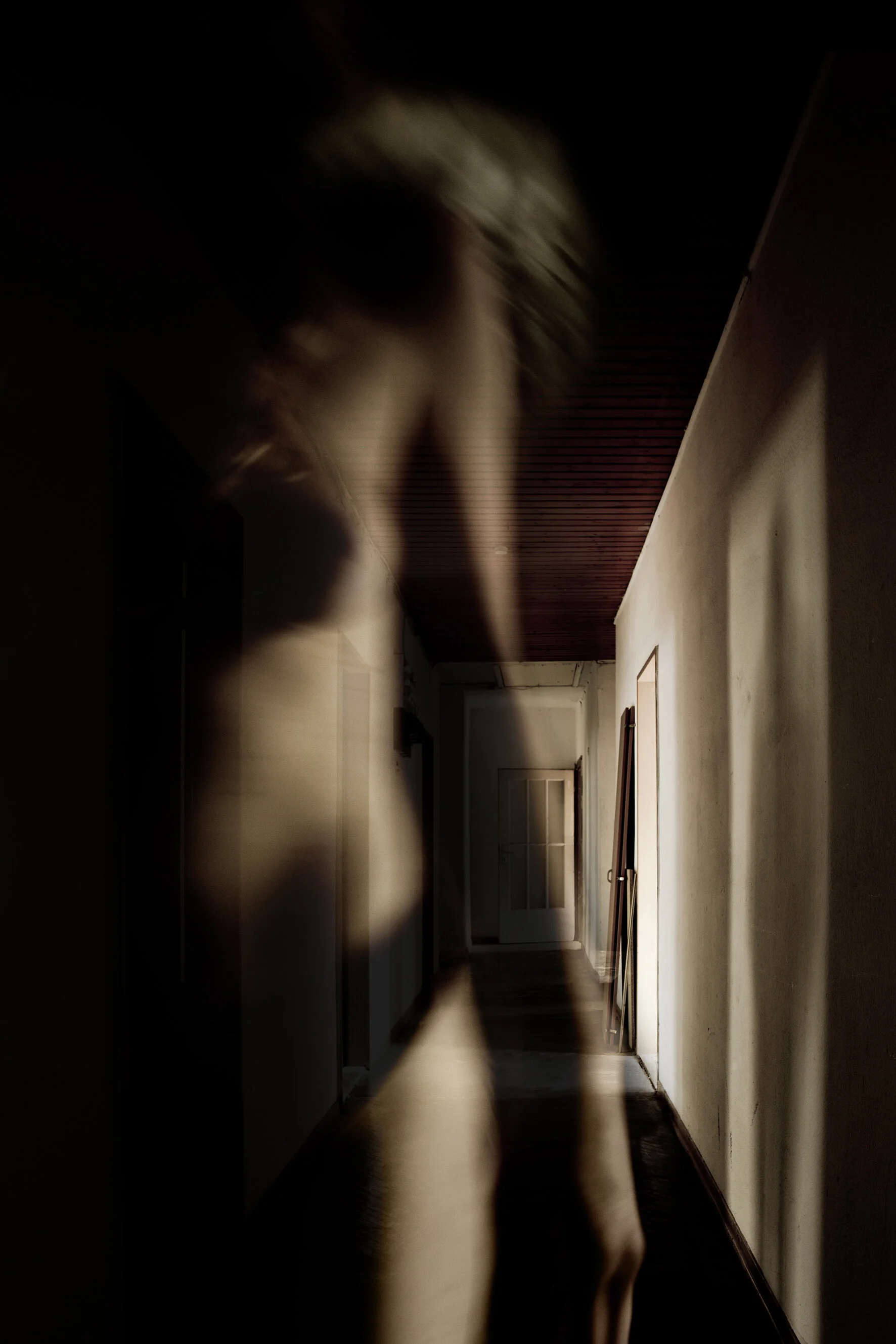  Shifting Baselines, 2014   