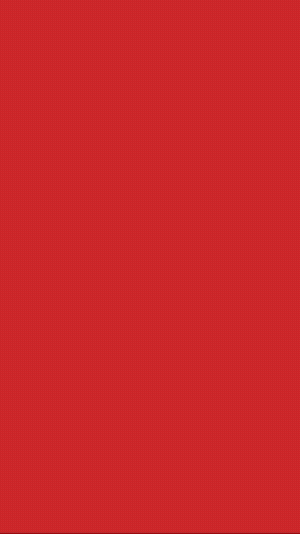 LETS GO BJS_NEW_TRACK_@.gif