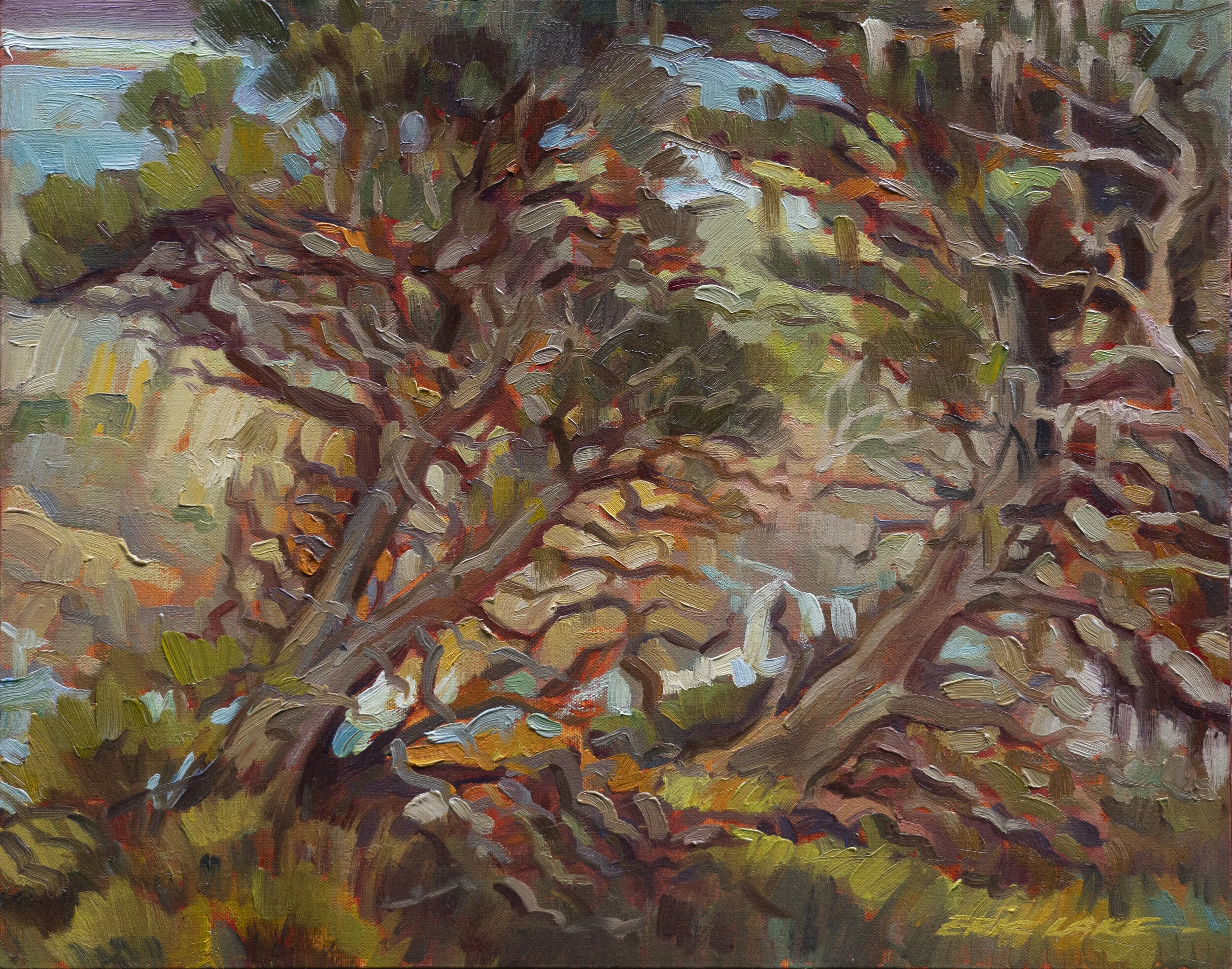 Cliff Trees at Pinnacle Cove