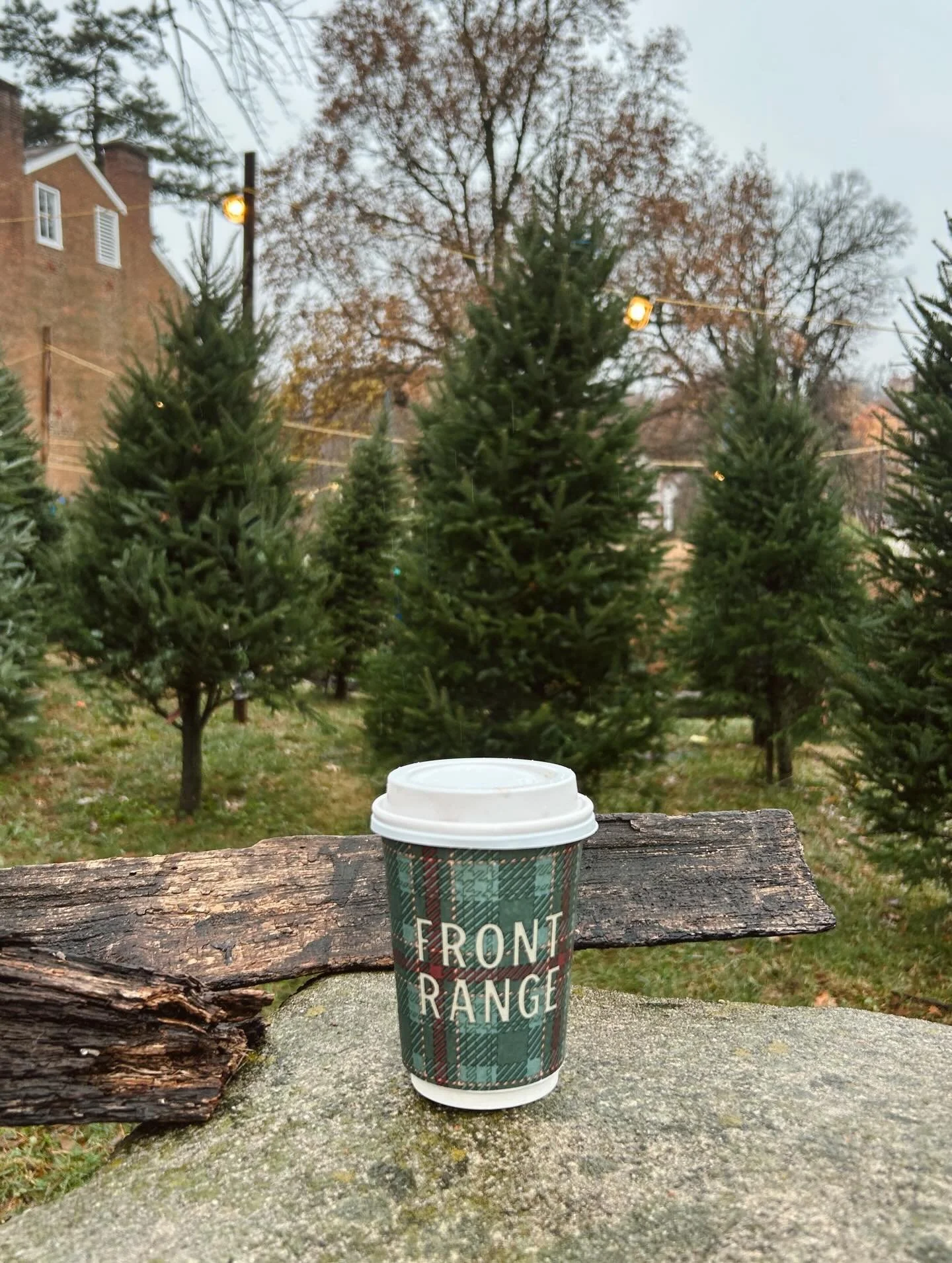 Spotted: Our new plaid hot drink cups making their debut in the wild. Cozy never looked so couture. XOXO @gossipgirl 💬