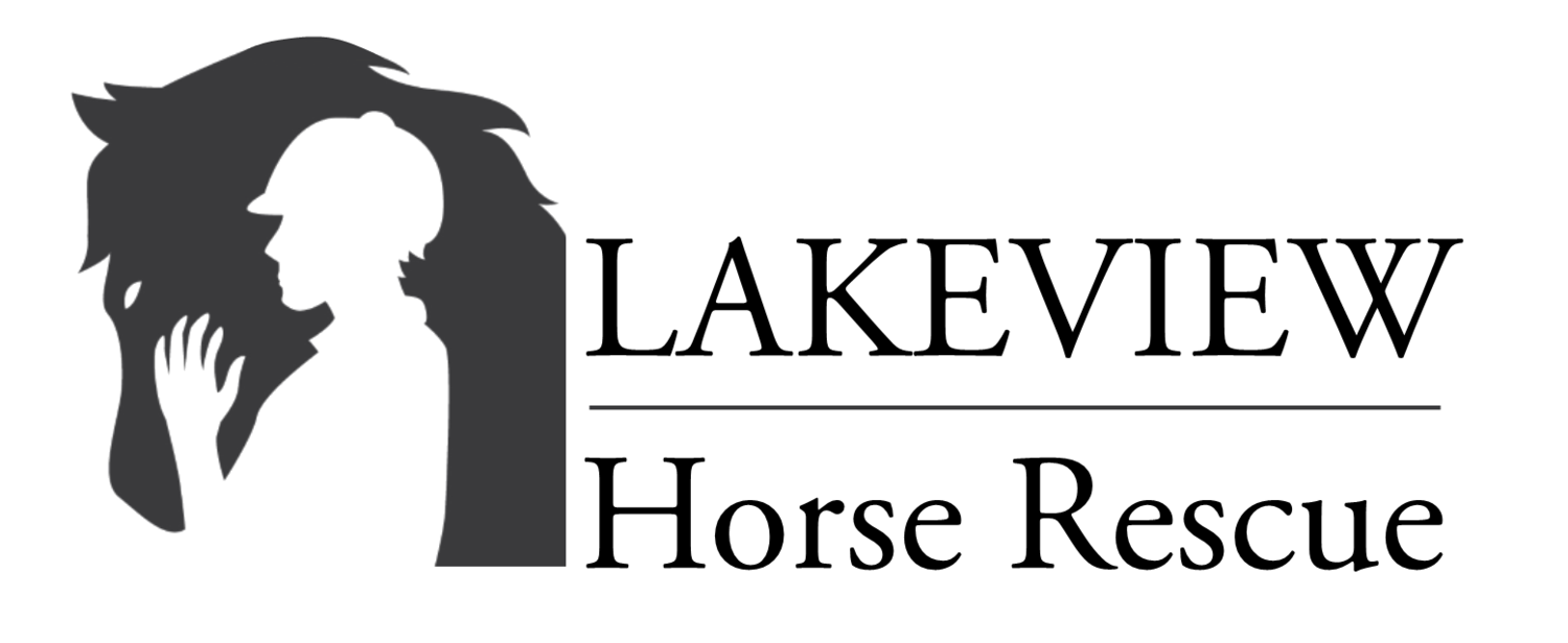 Lakeview Horse Rescue