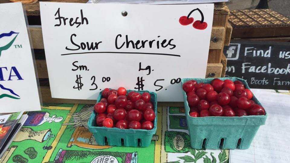 Tyler Carlson - sour cherries market in the valley.jpg