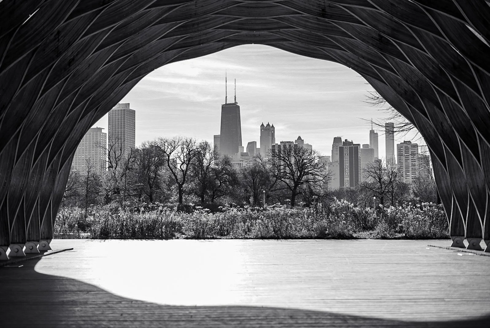 Chicago in Autumn