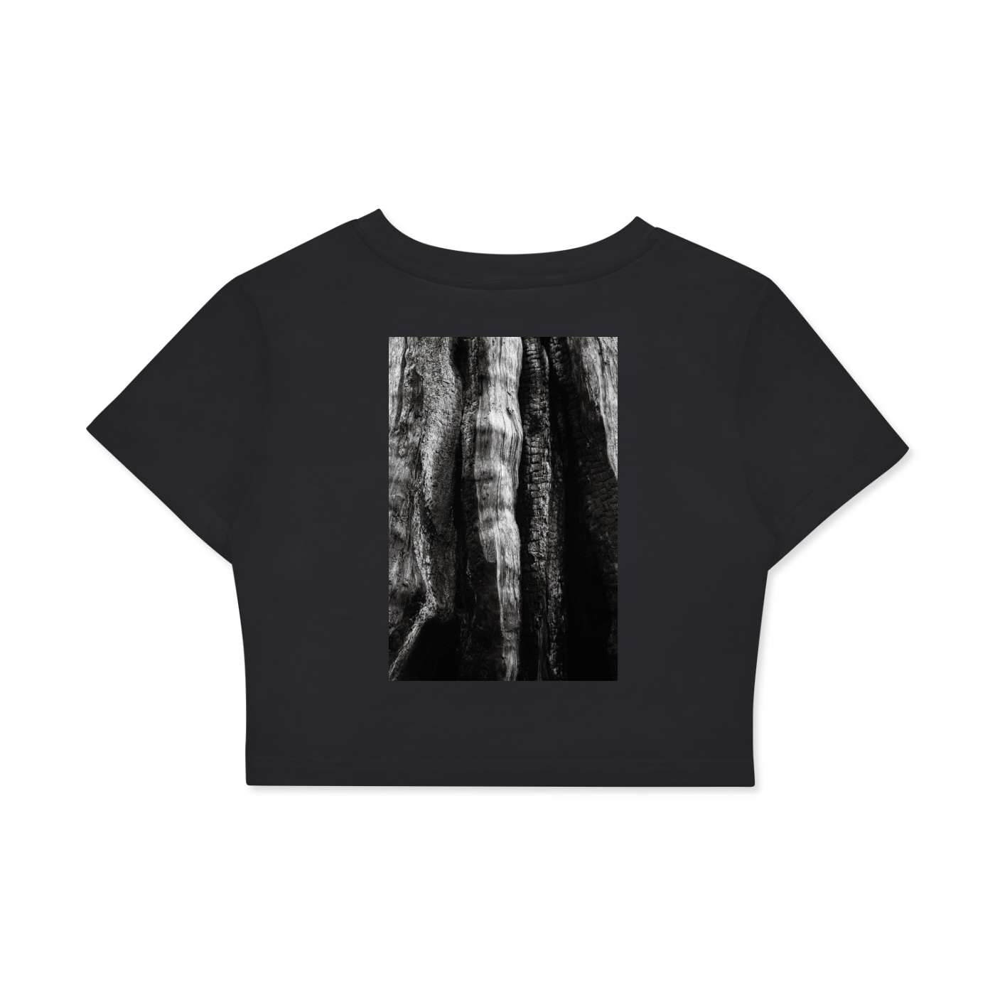 squarespace-upload-temp-2026-04-29-72ba7f97-b0bc-4ab3-a053-348783c3e7608063130263897238178.png