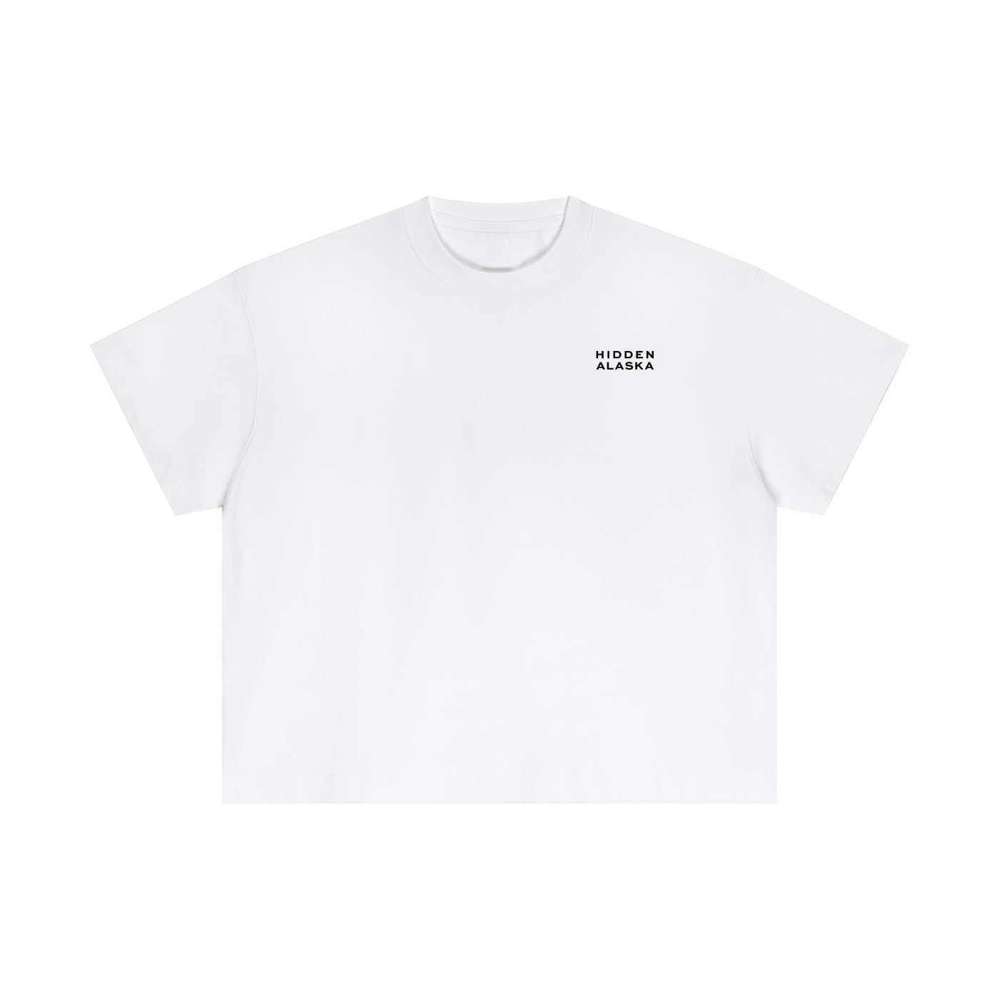 squarespace-upload-temp-2026-10-24-9f02f3ce-7f31-43bd-9c86-a41447de7a124348817053390142375.png