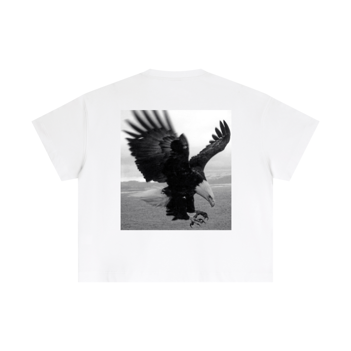 squarespace-upload-temp-2026-10-24-4a924db2-3800-4fd9-ad5c-c24ac2dd65d13242223689270836626.png