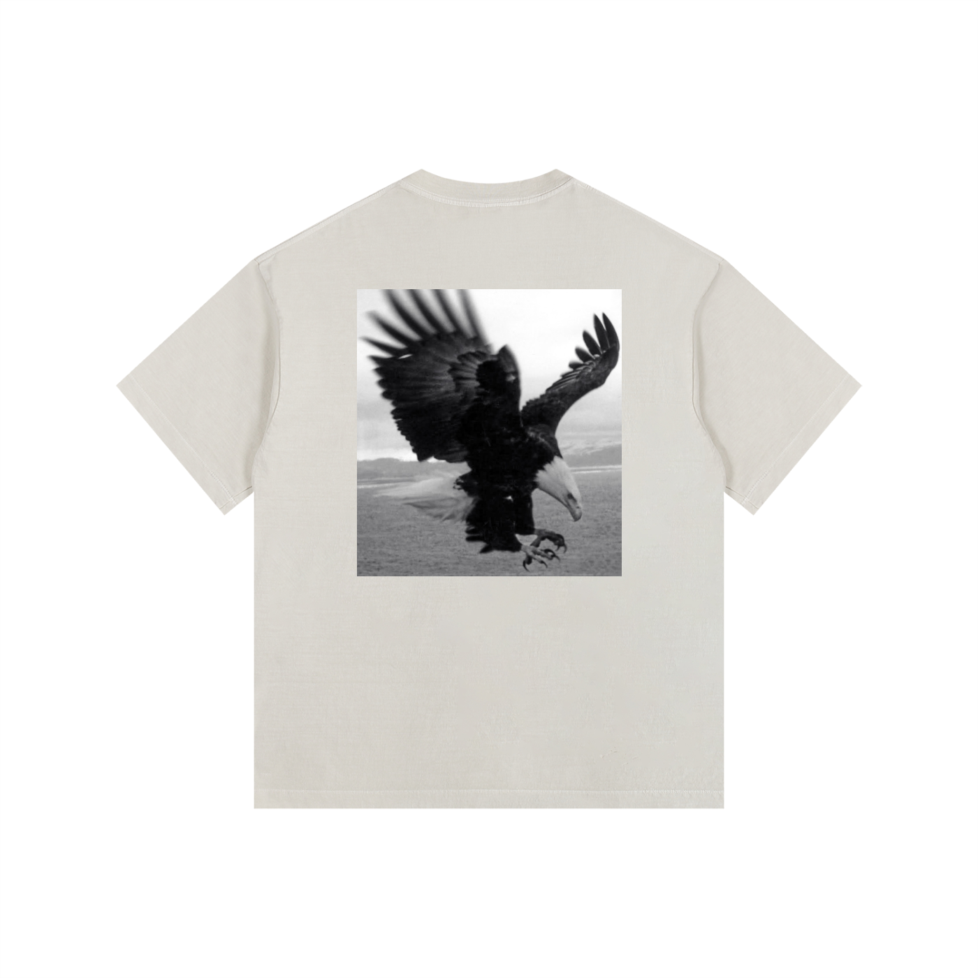 squarespace-upload-temp-2026-10-24-920ede9f-36fc-475e-bce5-dae3fe5310b12053254236484766554.png