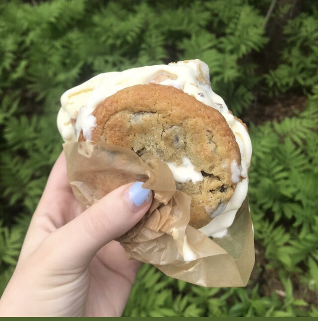 Chocolate Chip Cookie Ice Cream Sandwich