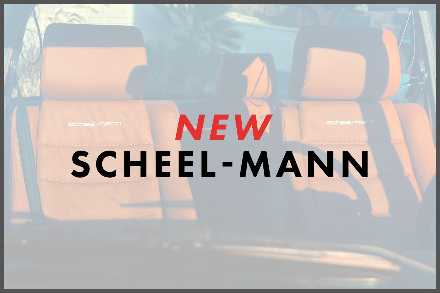 New Scheel-Mann V2.png