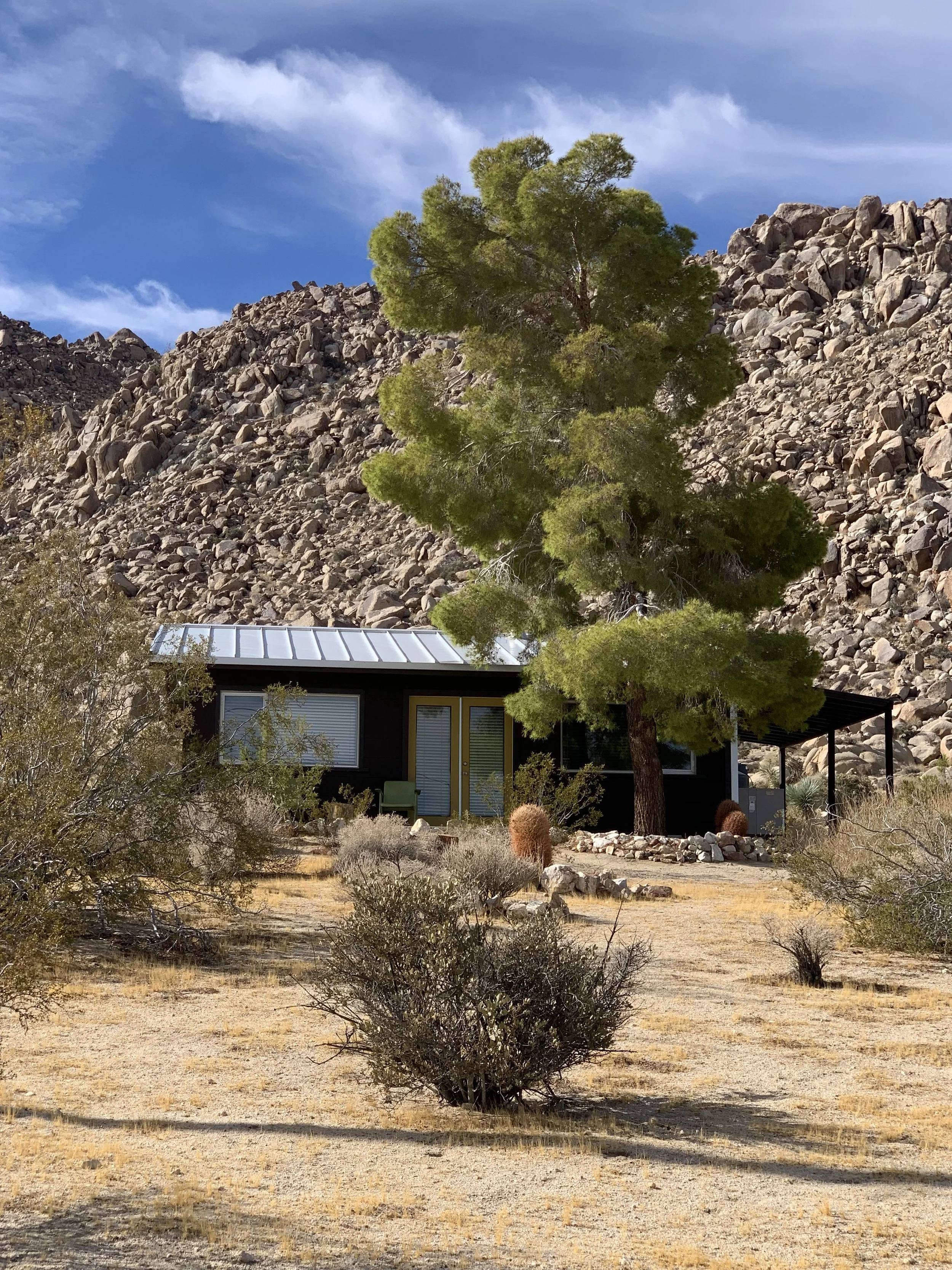 A house with a metal roof and large windows in a desert landscape, with a large green pine tree in the foreground, rocky hillside in the background, and a partly cloudy sky.