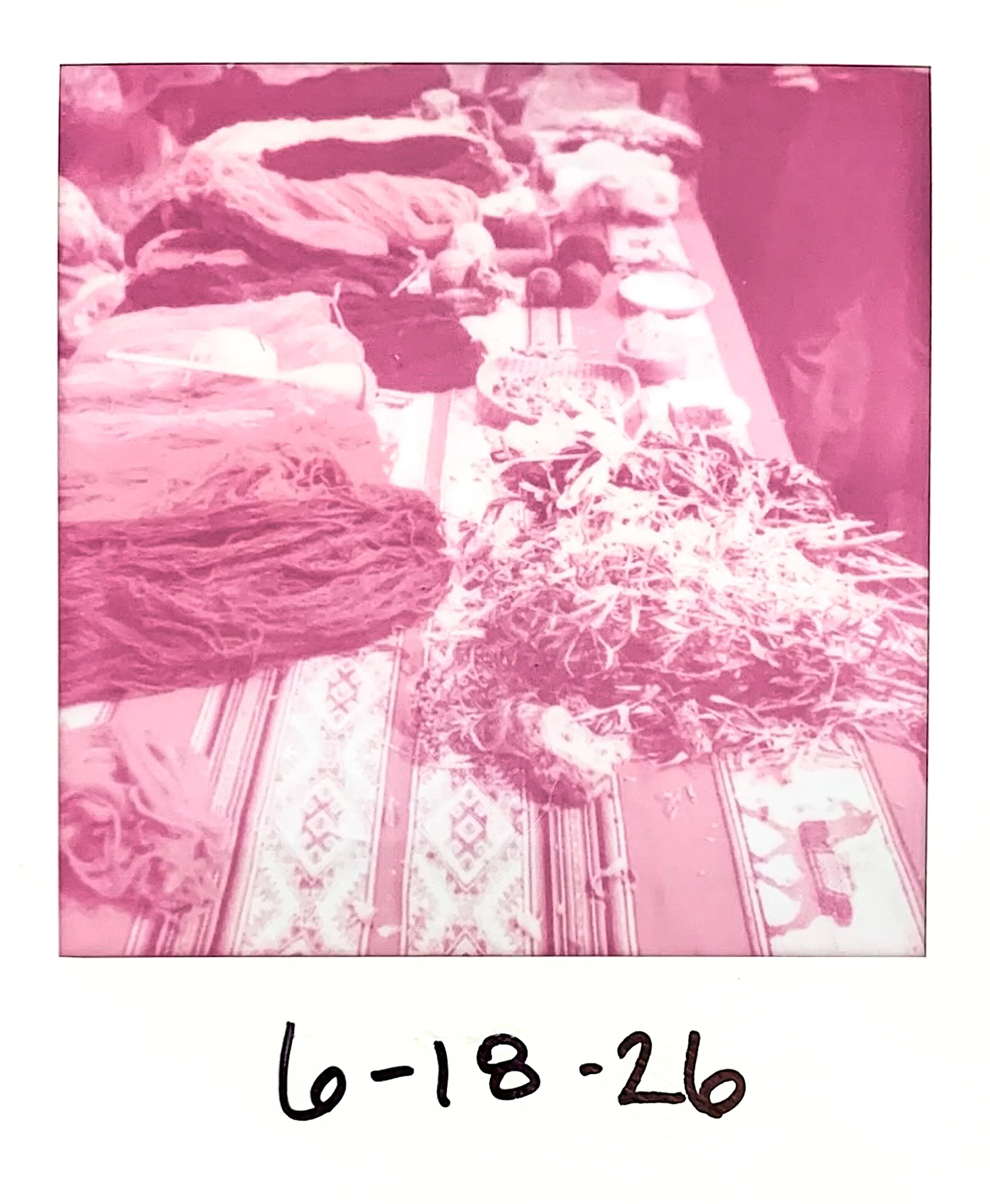 A pink-tinted photograph of a table of plants and yarns. The photograph is dated '6-18-26'.