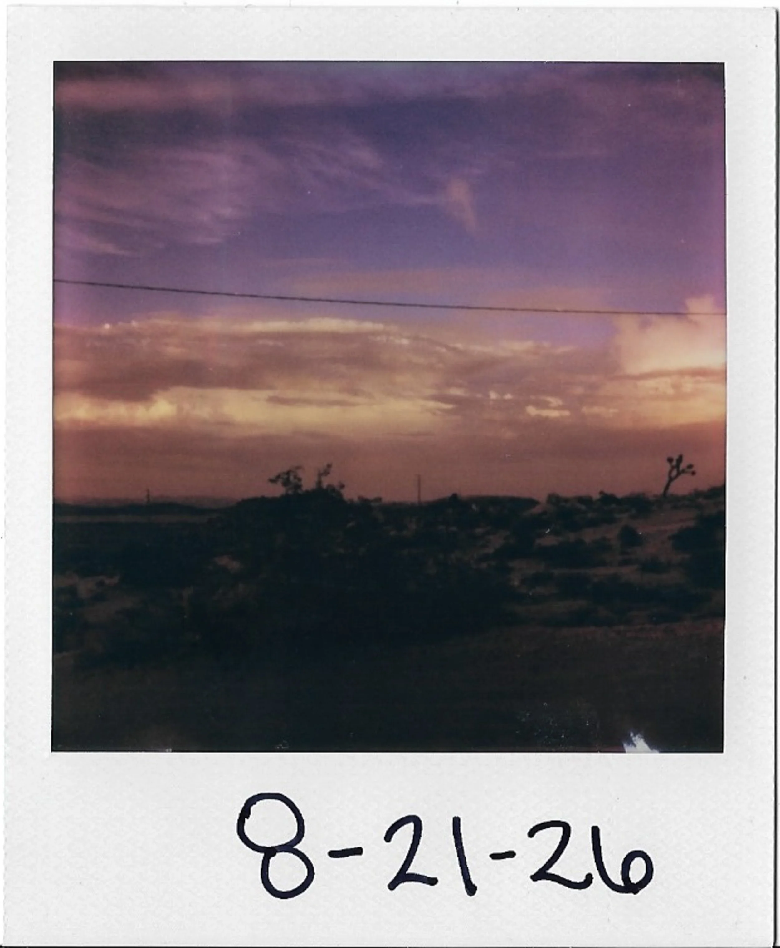 A printed photo showing a sunset or sunrise with pink, purple, and orange colors in the sky, silhouetted trees in the foreground, and a horizon line.
