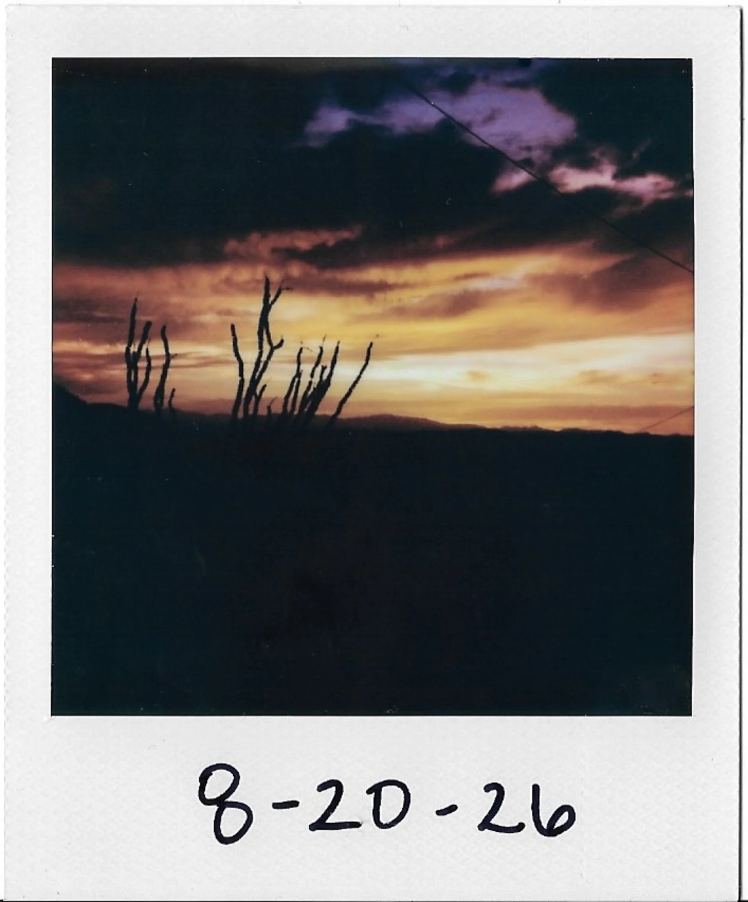 Close-up of a printed color slide of a sunset with silhouetted dry shrubs in the foreground and a sky filled with dark clouds and colorful hues.