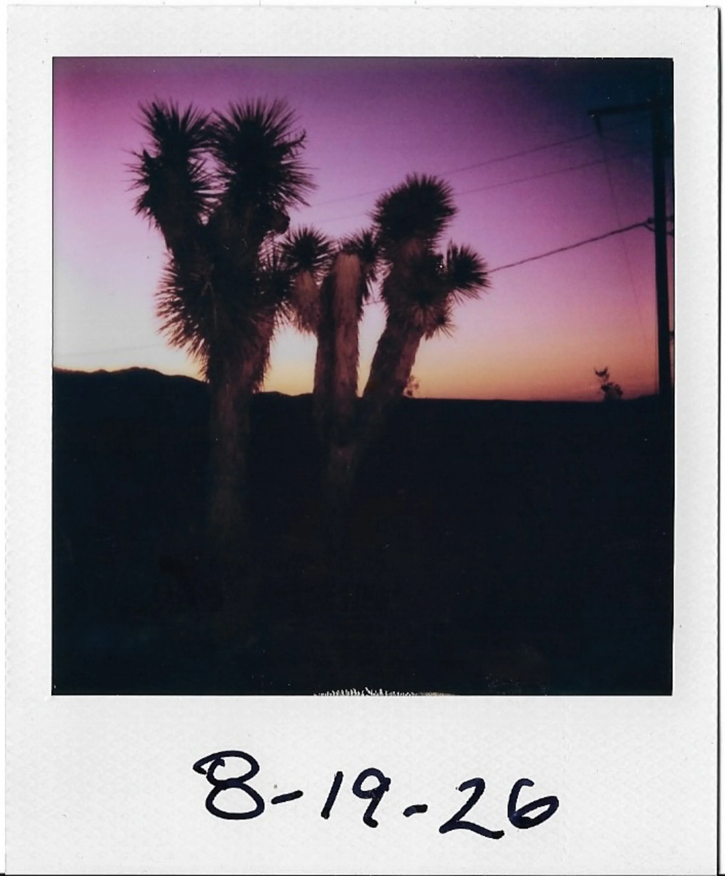 Polaroid photo of three Joshua trees silhouette against a purple to yellow sunset sky, with utility poles and power lines in the distance, and handwriting at the bottom indicating the date August 19, 2026.