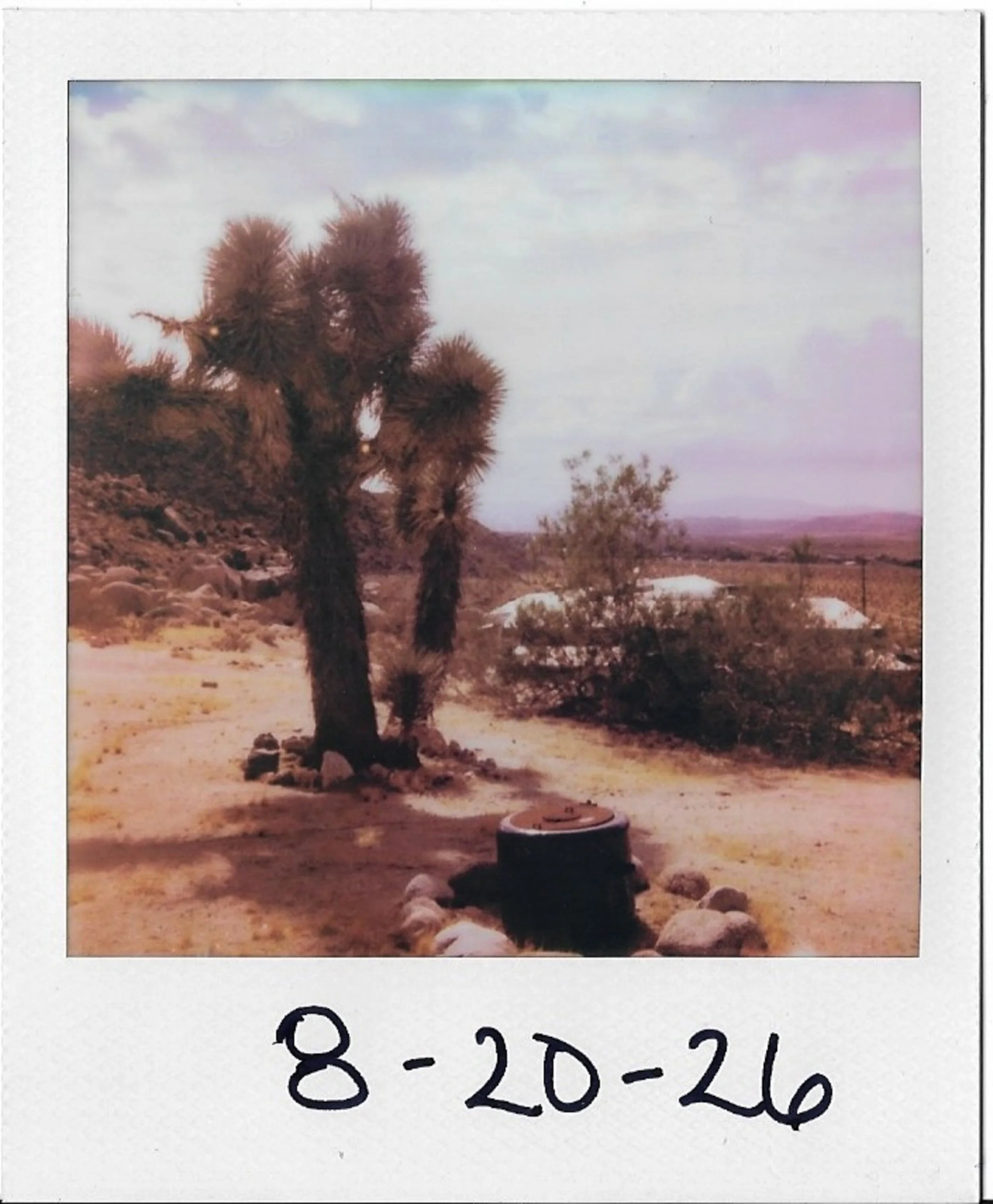 A desert scene featuring a Joshua tree, rocky terrain, and distant mountains under a partly cloudy sky.