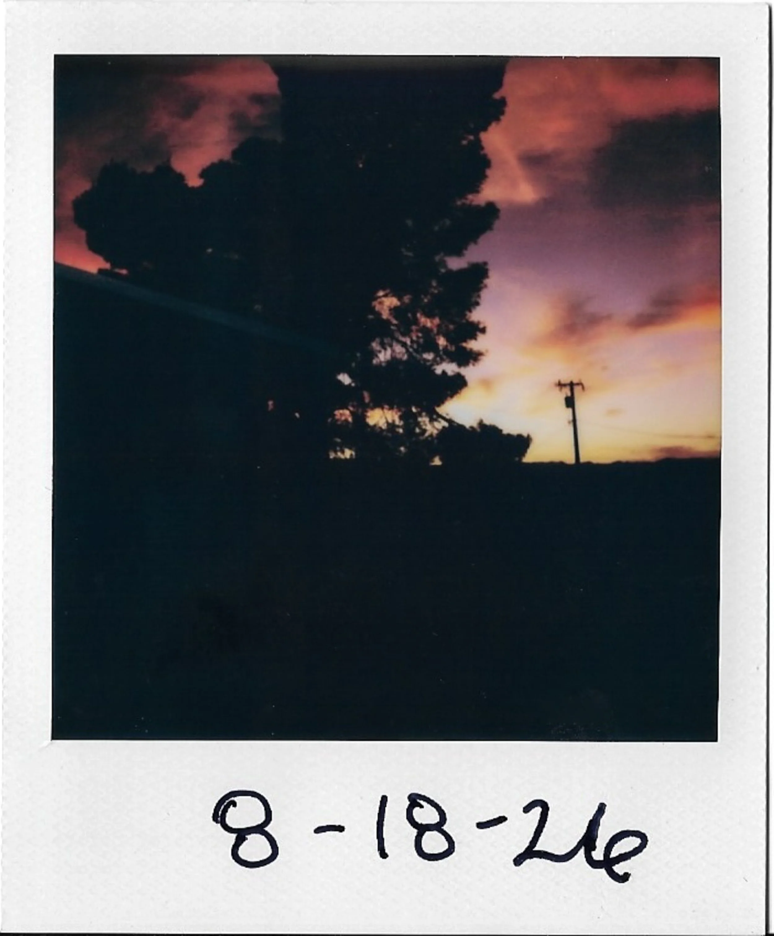 Polaroid photo showing a sunset or sunrise sky with silhouettes of trees and power lines.
